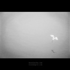 dailyPhoto27